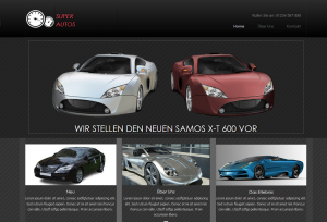 Homepage-Baukasten Mini_Landingpage