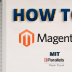 HowTo: Wie installiert man Magento über das Pleskpanel