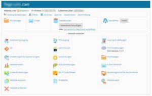 Abbildung-Hosting-Einstellungen-Domain-in-Plesk