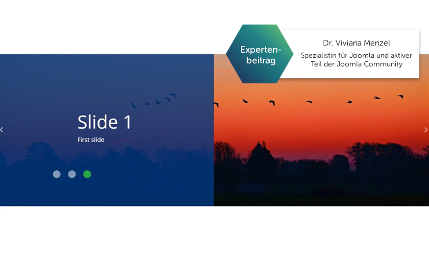 Titelmotiv - Artikel Slider ohne Joomla-Erweiterung - Expertenartikel Dr Viviana Menzel