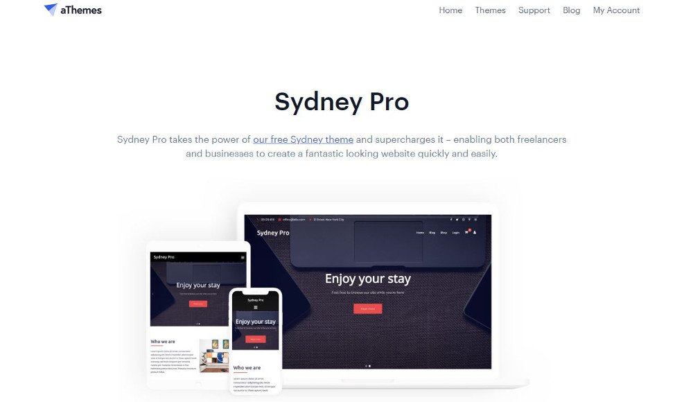 Abbildung - WordPress-Theme Sydney Pro