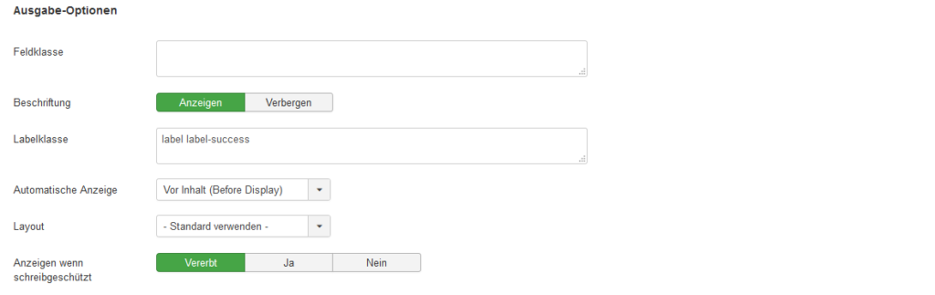 12_screenshot_feld_optionen_klasse_ausgabe1_frontend