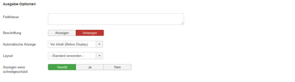 14_screenshot_feld_optionen_klasse_ausgabe2_frontend