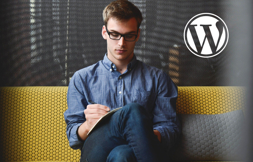 Titelmotiv - WordPress-Kundenseiten managen mit dem WordPress Toolkit von Plesk - Artikel im Host Europe Blog