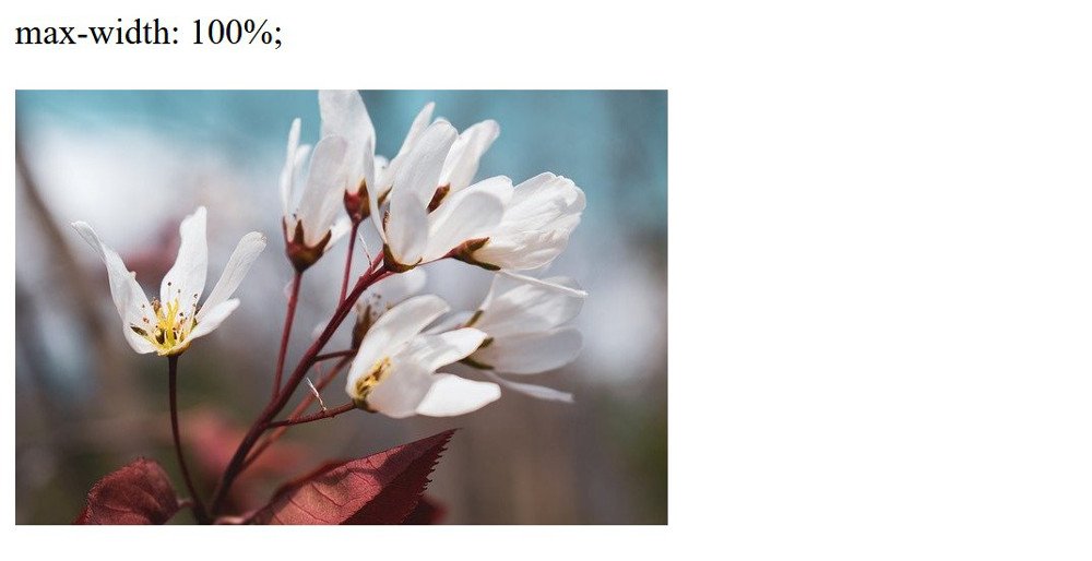 Abbildung - Responsive Bilder in Joomla - Max-Width 100%