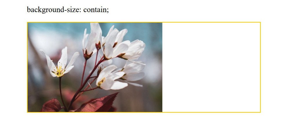 Abbildung - Responsive Bilder in Joomla - Background-Size contain