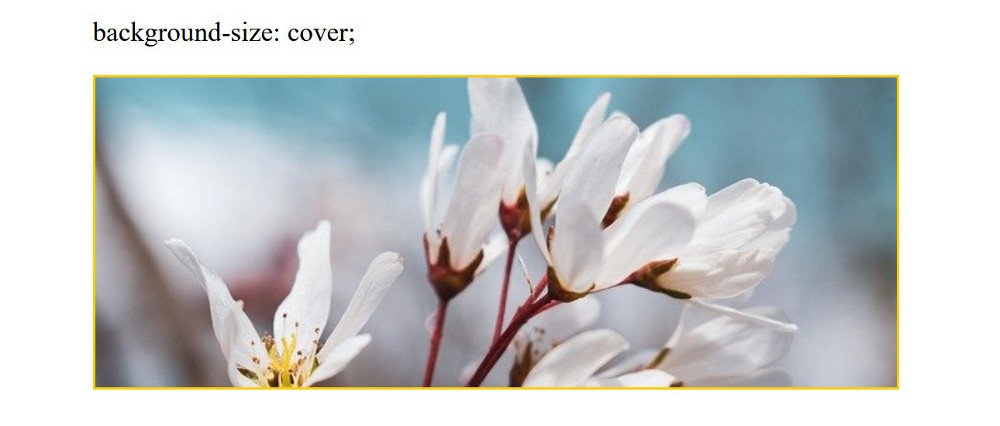 Abbildung - Responsive Bilder in Joomla - background-size: cover;