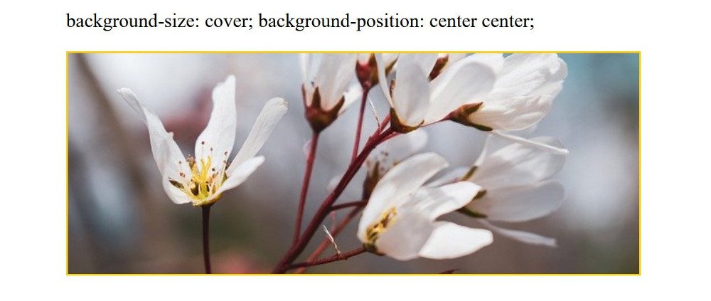 Abbildung - Responsive Bilder in Joomla - background-size: cover; background-position:center center;