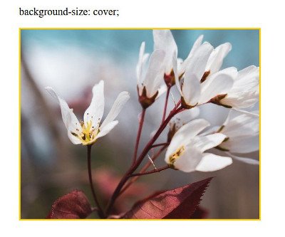 Abbildung - background-size:cover;