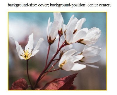 Abbildung - background-size: cover; background-position: center center