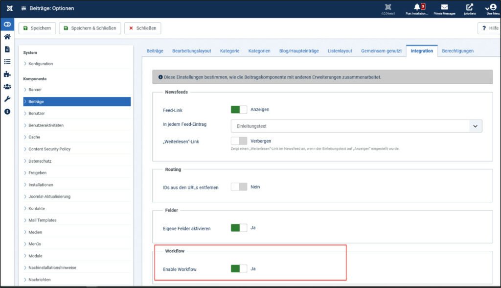 Abbildung - Workflow in den Artikel Optionen