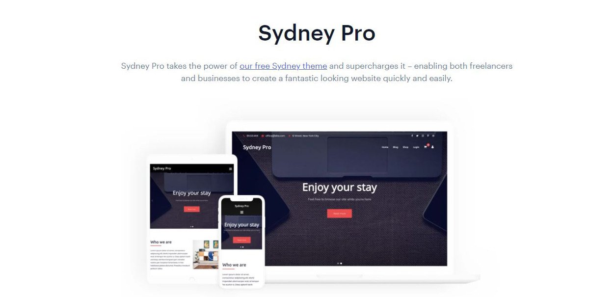 Abbildung - One-Page WordPress-Themes – Sydney Pro