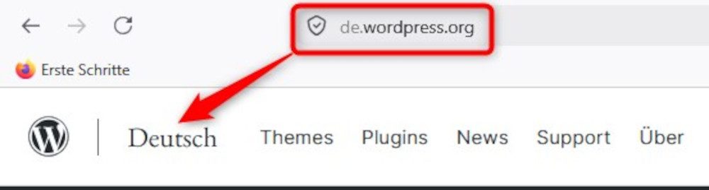 Abbildung: Domain anzulegen. Subdomains in der jeweiligen Landessprache