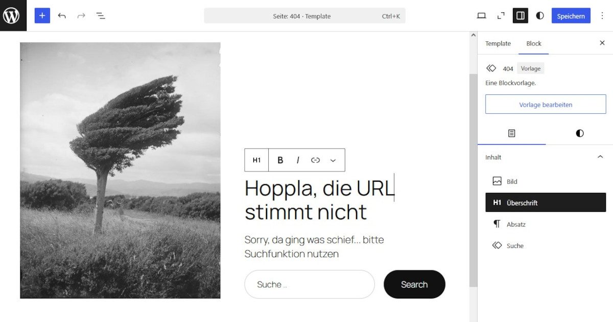Abbildung: Best-Practice-Tipp für den WordPress-Workflow